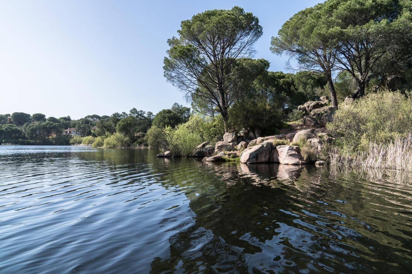 Casa El Lago Alojamiento Rural Las Jaras Εξωτερικό φωτογραφία